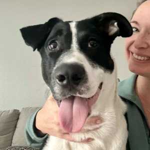 Fundraising Page: Brittnie Rowan